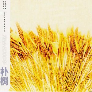 东方欲晓-《白桦林_无和声版》