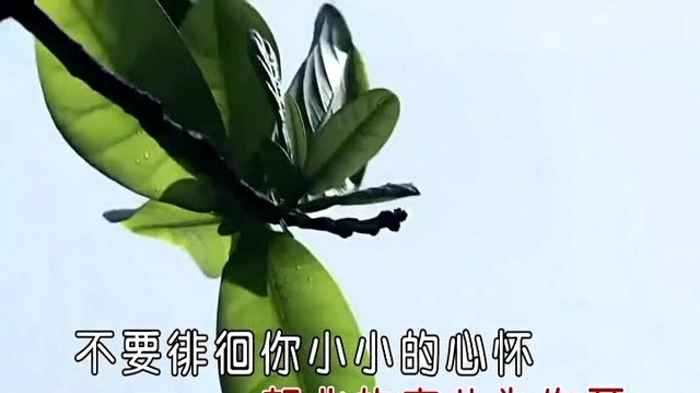 Seven-《归来的燕子》
