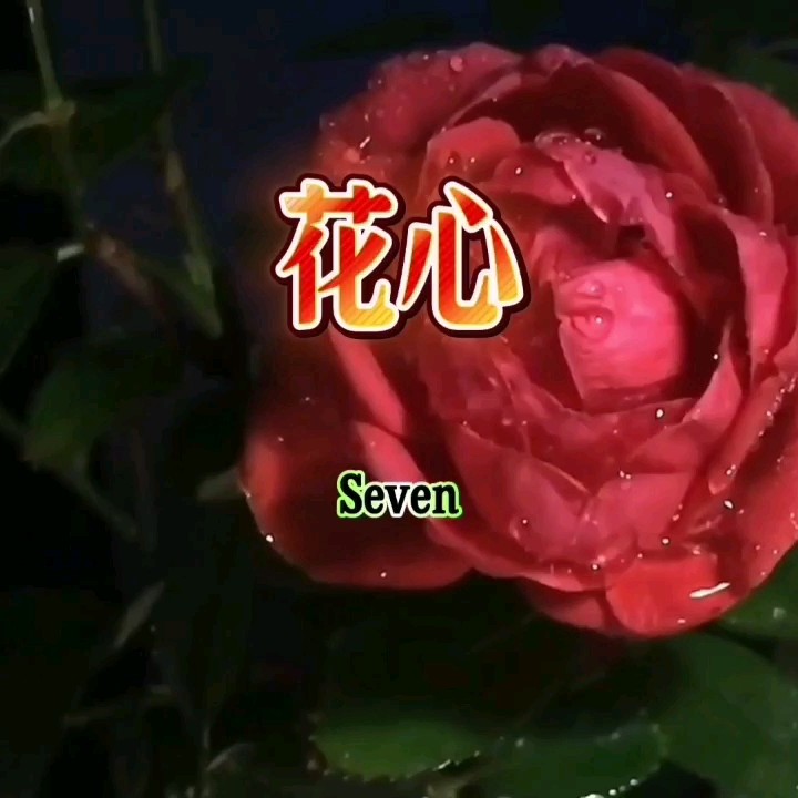 Seven-《花心》