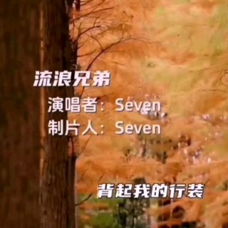Seven-《流浪兄弟》