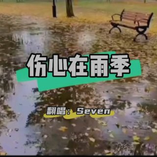 Seven-《伤心在雨季》