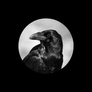 Seven-《心如止水》