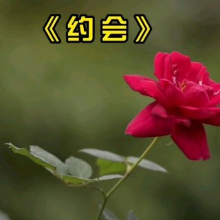 Seven-《约会》