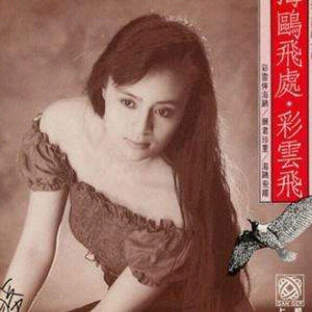 半城繁华~-《彩云伴海鸥》