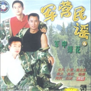 半城繁华~-《军中绿花》