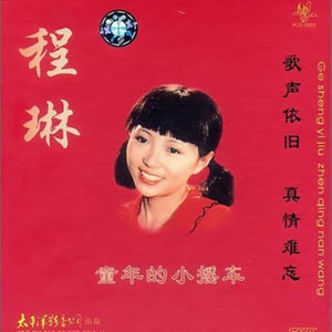半城繁华~-《柳笛》