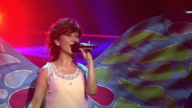 半城繁华~-《问情_Live》