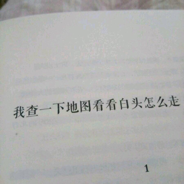 阿泱-《第三人称》