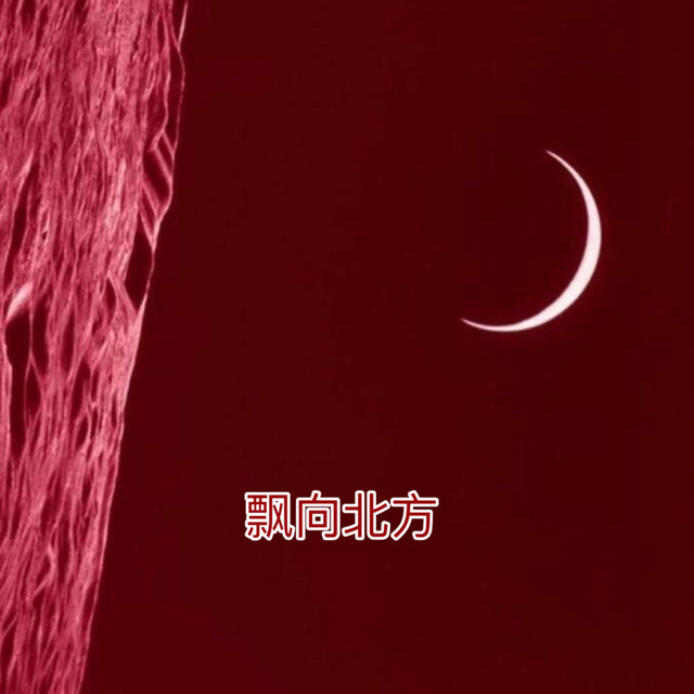 阿泱-《飘向北方》