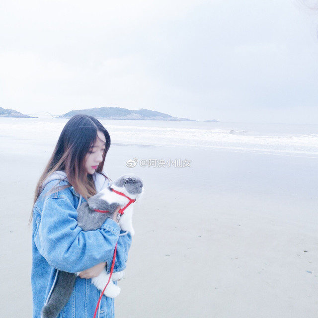 阿泱-《The Ocean_Radio Edit》
