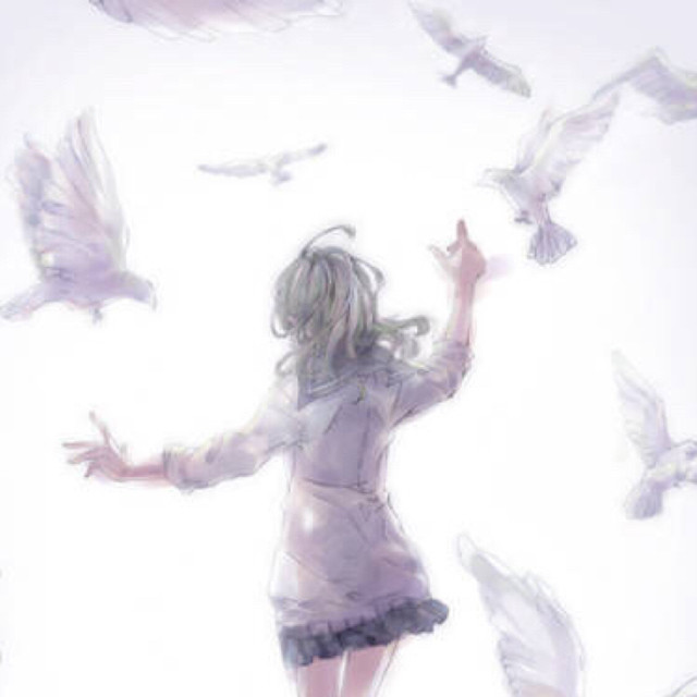 Boss-《鸽子》