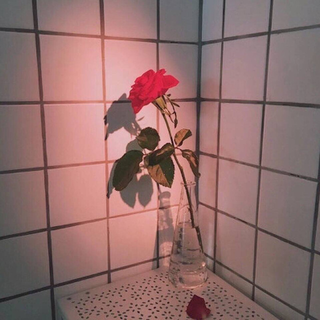 Boss-《蜜蜂》