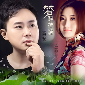 随心而动-《梦醉荷塘》