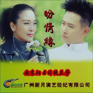随心而动-《盼情缘》