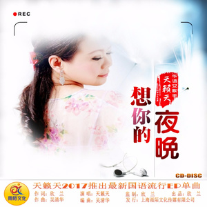 随心而动-《想你的夜晚》