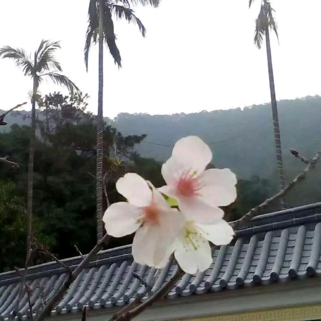 随心而动-《一路向北》