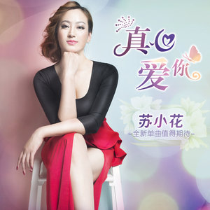 随心而动-《真心爱你》