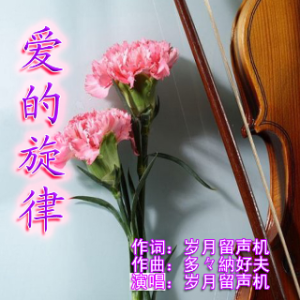 宁菲儿-《爱的旋律》