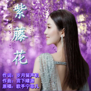 宁菲儿-《紫藤花》
