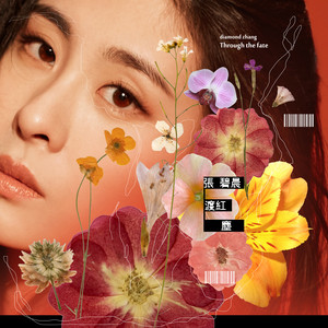 伤感歌后杨柳岸-《渡红尘》