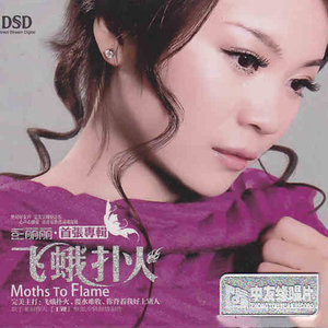 伤感歌后杨柳岸-《飞蛾扑火》