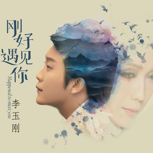 伤感歌后杨柳岸-《刚好遇见你》