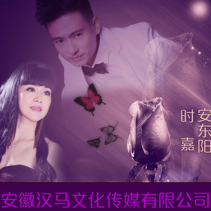 伤感歌后杨柳岸-《红尘蝶恋》
