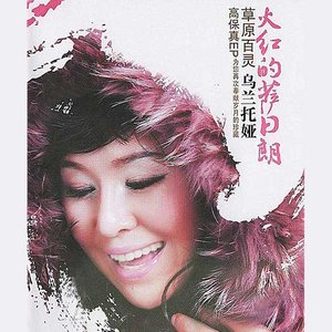 伤感歌后杨柳岸-《火红的萨日朗》