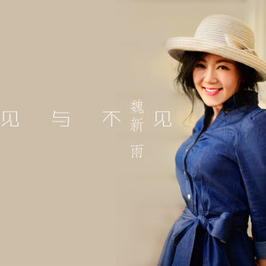 伤感歌后杨柳岸-《见与不见》