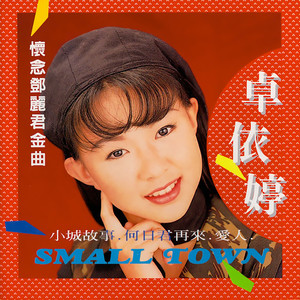 伤感歌后杨柳岸-《难忘的初恋情人》
