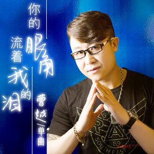 伤感歌后杨柳岸-《你的眼角流着我的泪》