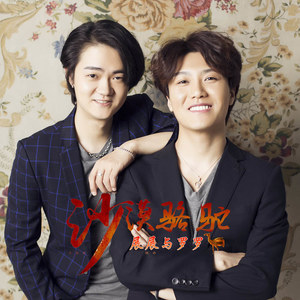 伤感歌后杨柳岸-《沙漠骆驼》