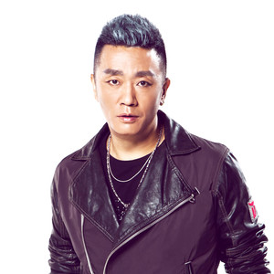 伤感歌后杨柳岸-《我是一只小小鸟》