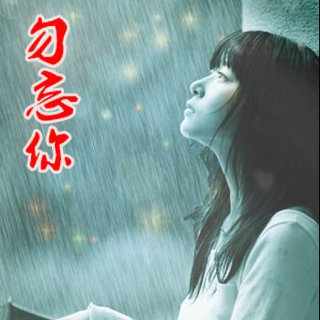 伤感歌后杨柳岸-《勿忘你》