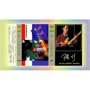 伤感歌后杨柳岸-《小秘密》