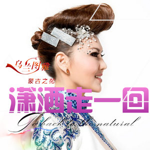 伤感歌后杨柳岸-《潇洒走一回》