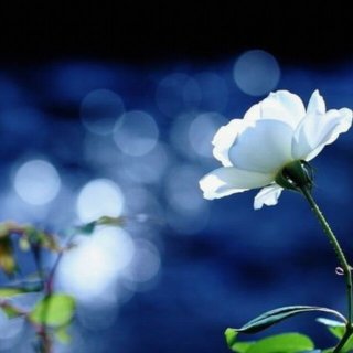 初寒-《白天不懂夜的黑_Live》