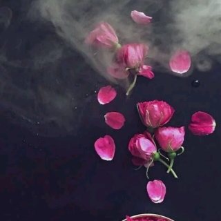 初寒-《手掌心》