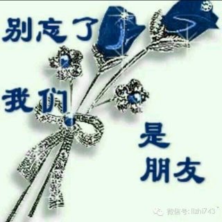 哼不和你玩了-《朋友的酒》