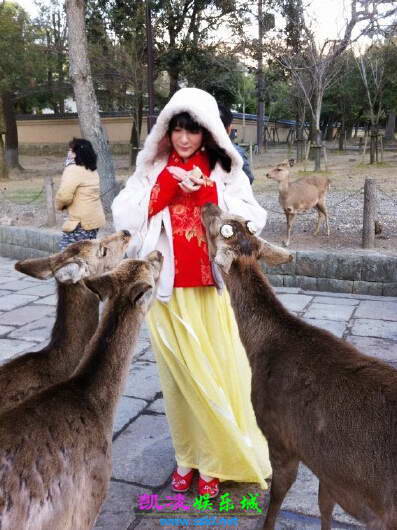 图:徐娇穿汉服游日本 奈良喂鹿反遭咬