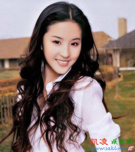 中国最标致的十张美人脸:高圆圆居首秒杀范冰冰