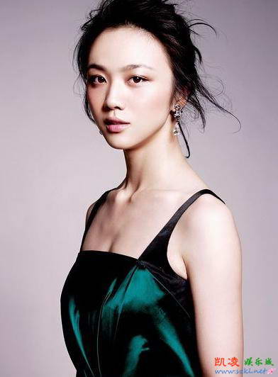 高圆圆范冰冰赵薇 中国女星最标致的10张美人脸