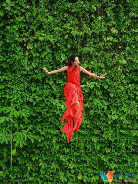 杨丽萍空中飞舞似仙子 万绿丛中一点红