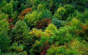 秋天，斑斓的景色和阳光代表着秋天的温度
