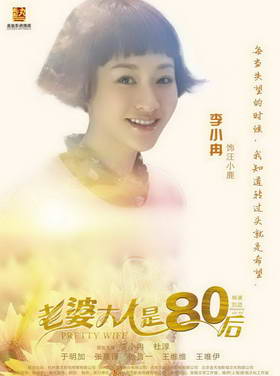 《老婆大人是80后》海报 李小冉杜淳演婚姻宝典