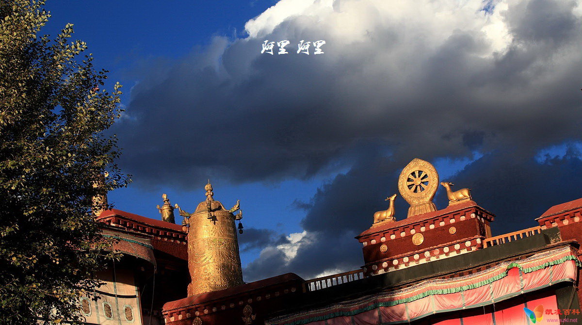 美景如画之行走西藏回到拉萨（20P）