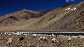 美景如画之行走西藏阿里第14-16天（40P）