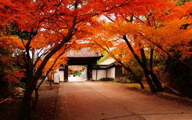 美景如画之红叶绽放的日本金秋（54P）