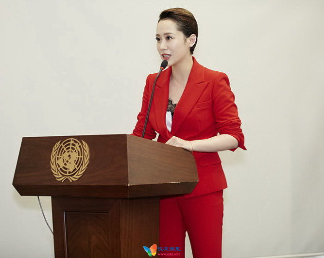 海清亮相联合国主题会议 为女性权益发声