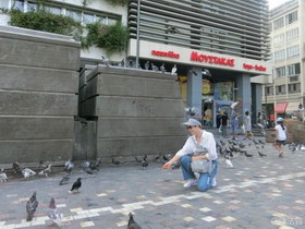 组图:陈法蓉希腊路边喂鸽子享受阳光 皮肤白皙笑容甜美